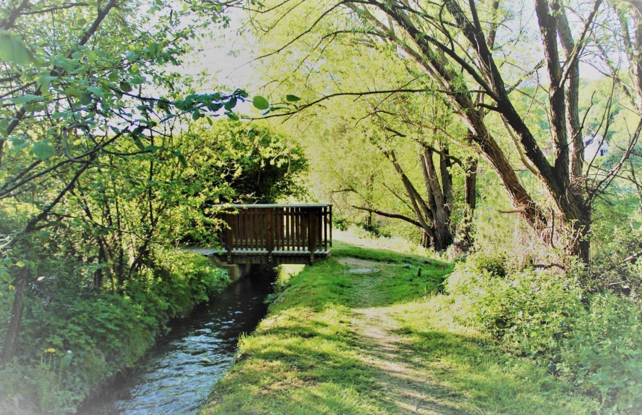 Ferienwohnung Brohltal-Aue Burgbrohl Exterior photo
